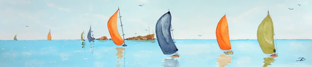 Régate lion de mer.webp