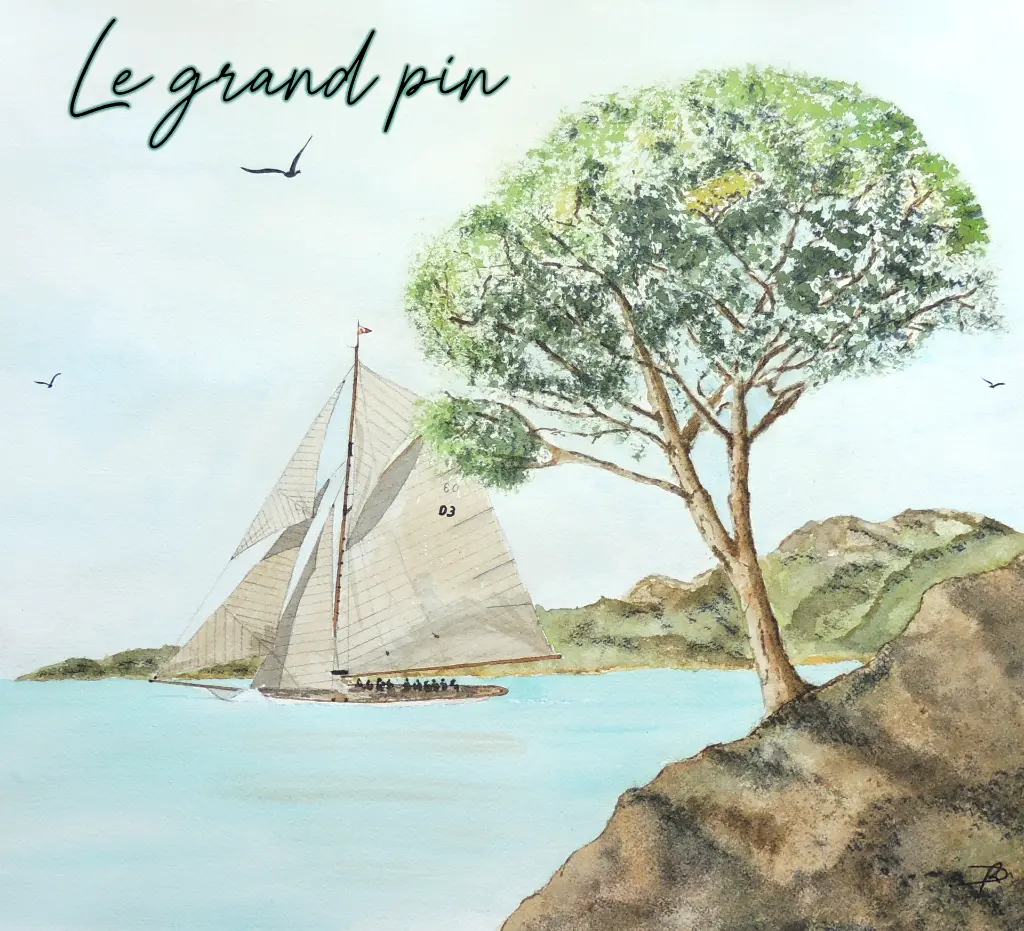 Le grand pin.webp