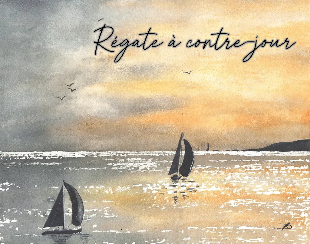 Régate à contre-jour.webp
