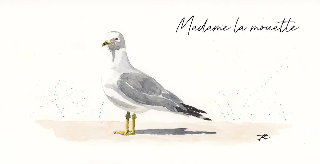 Madame-la-mouette.webp