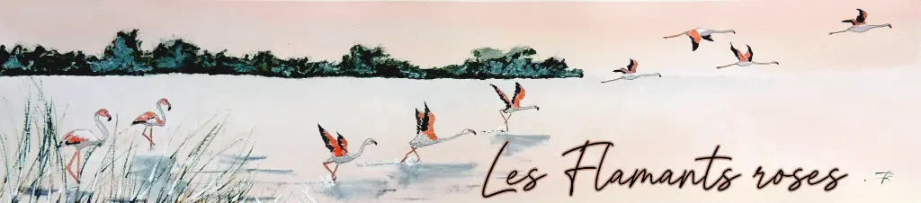Flamants roses.webp