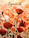 Coquelicots.webp