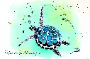 Tortue de la Martinique.webp