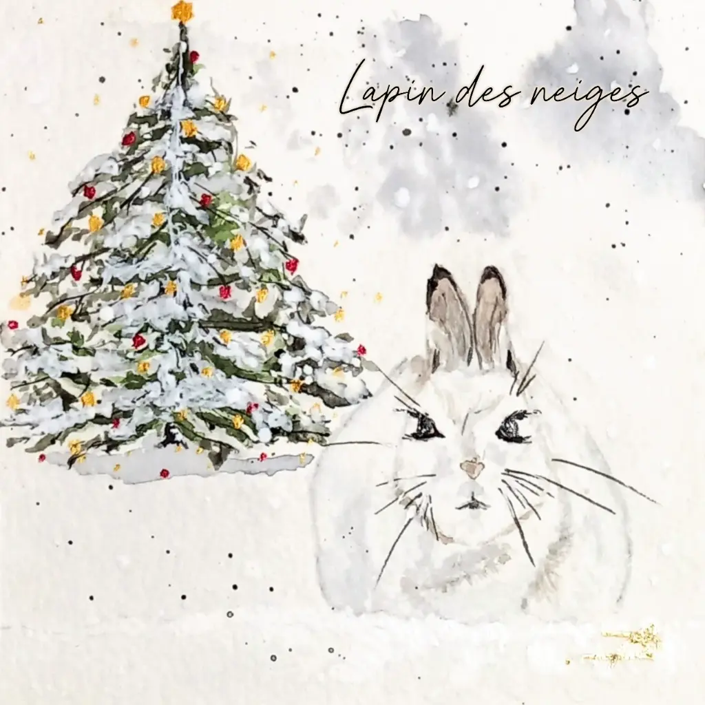Lapin des neiges.webp