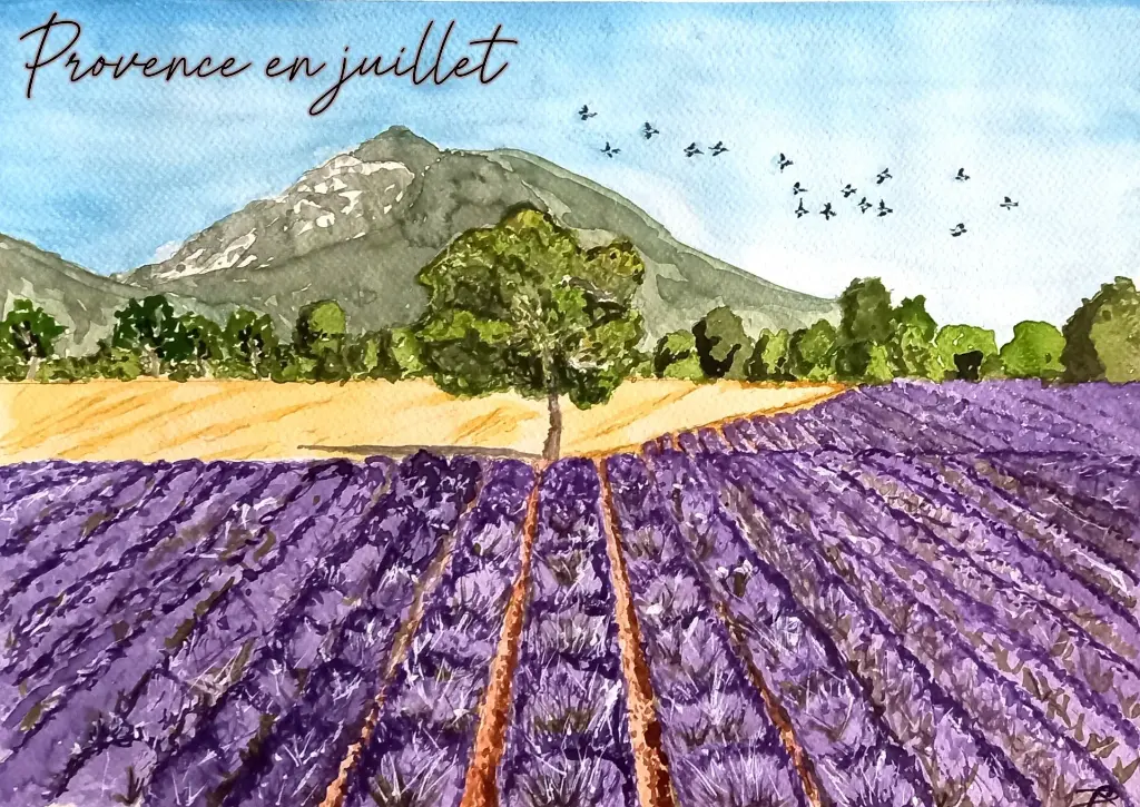 Provence en Juillet.webp