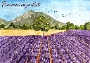 Provence en Juillet.webp