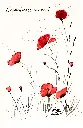Coquelicots au vent.webp
