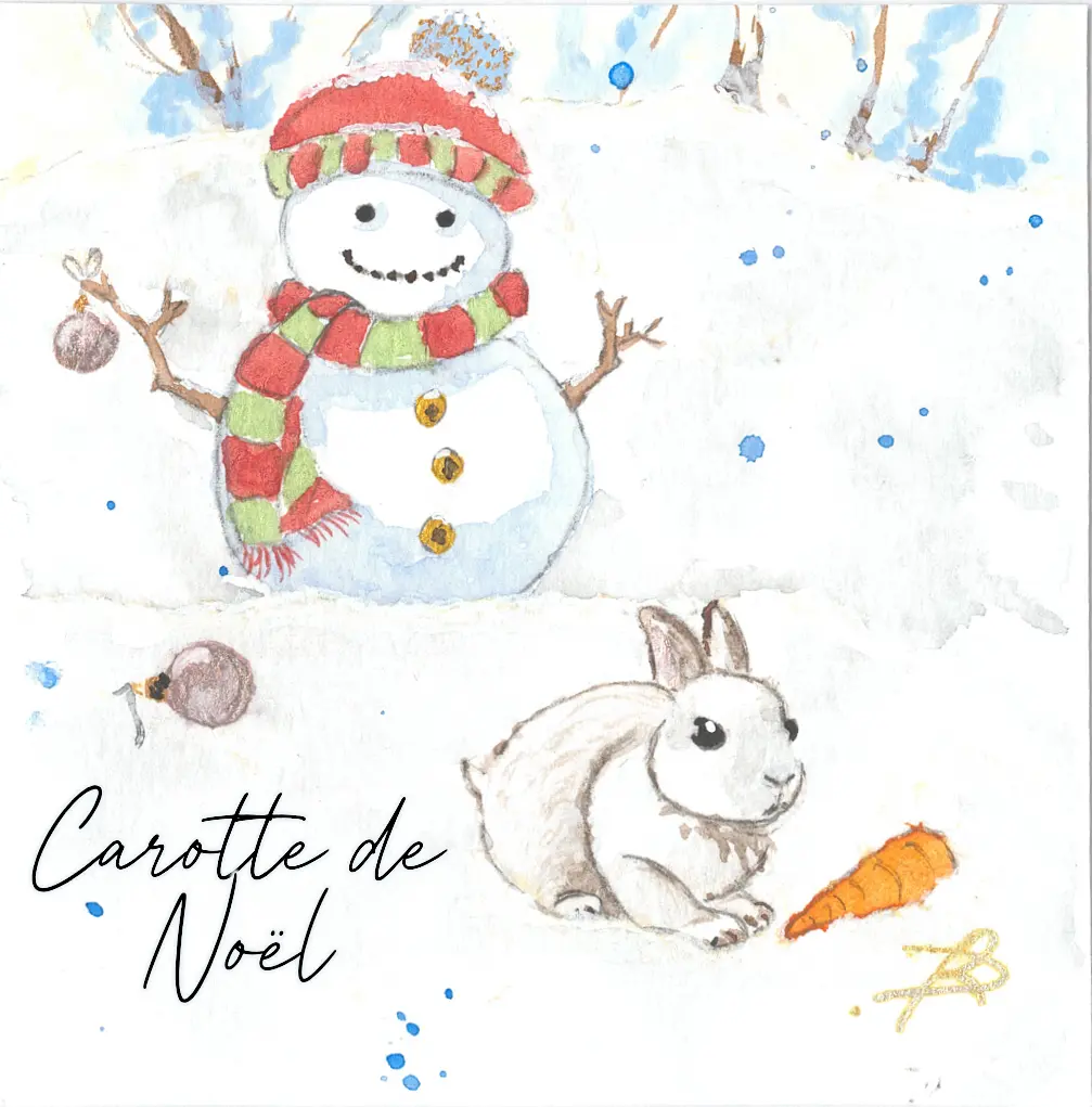 Carotte de Noel.webp