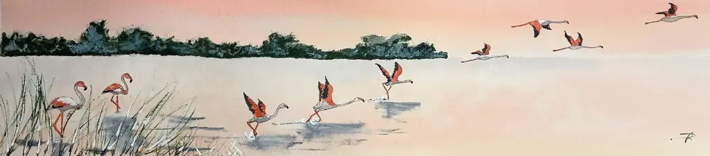 Les Flamants Roses